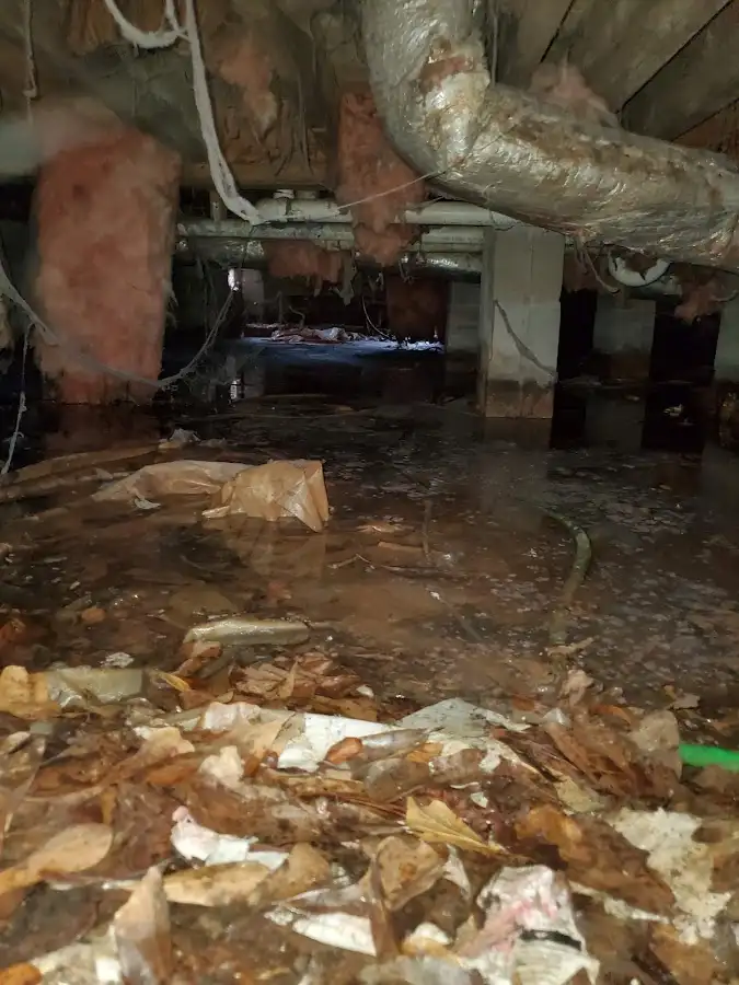Crawl space flood assessment for Leak Detection & Repair in Sandown