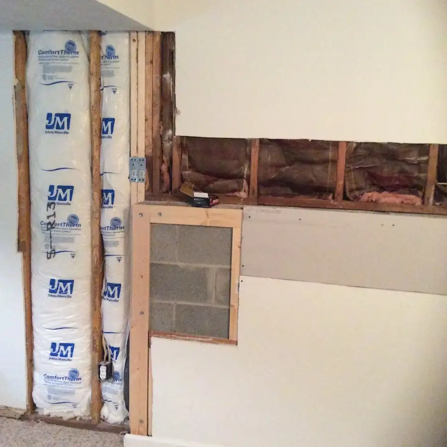 Wall insulation replacement during Odor Removal & Deodorization in Sandown